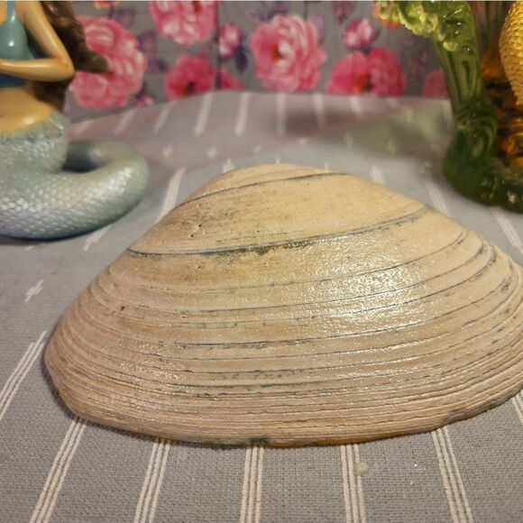 DECOUPAGE CLAM SHELL DECOUPAGE SUNFLOWERS TRINKET DISH - Picture 10 of 10